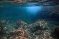 Παραλία Αλθέας (Βυθός), Άγιος Δημήτριος, Αττική