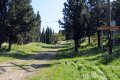 Αρχαία Ακρόπολη Δαυλίδος, Δαύλεια, Βοιωτία