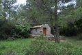 Άγιος Νικήτας, Διόνυσος, Αττική