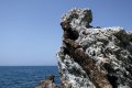 Βράχοι στη παραλία ΚΑΠΕ, Λεγρενά, Σούνιο, Αττική